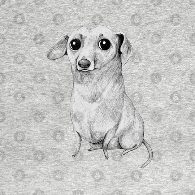 Monochrome Dachshund by Sophie Corrigan